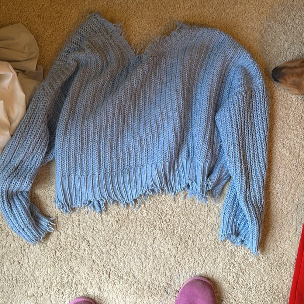Wildfox sweater